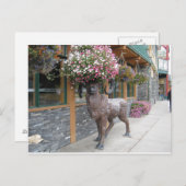 マイフラワーハット ポストカード (正面/裏面)