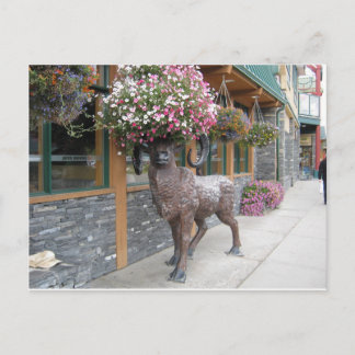 マイフラワーハット ポストカード