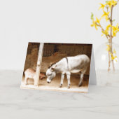 マイフレンド カード (黄色い花)