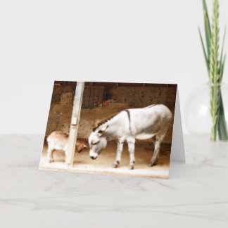 マイフレンド カード