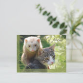 マイフレンド ポストカード (スタンド正面)