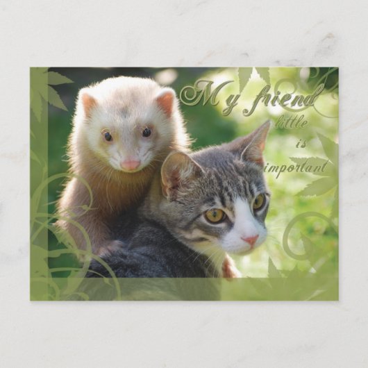 マイフレンド ポストカード (正面)