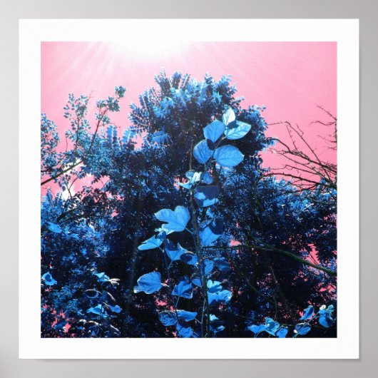 マイブルーで ポスター (正面)