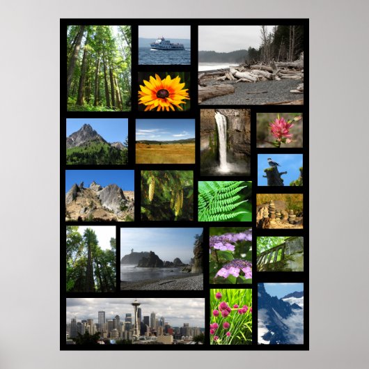 マイプレお気に入りのースズ ポスター (正面)