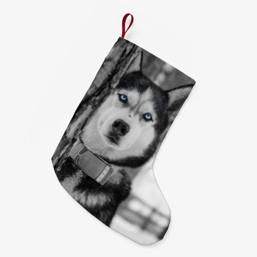 マイベイビーブルーアイズクリスマスストッキング スモールクリスマスストッキング (正面 (吊り時))