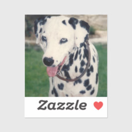 マイペットの友カスタム人の写真 シール