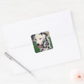 マイペットの友カスタム人の写真 スクエアシール (封筒)