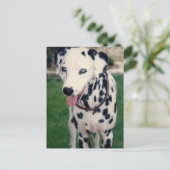 マイペットの友カスタム人の写真 ポストカード (スタンド正面)