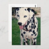 マイペットの友カスタム人の写真 ポストカード (正面/裏面)