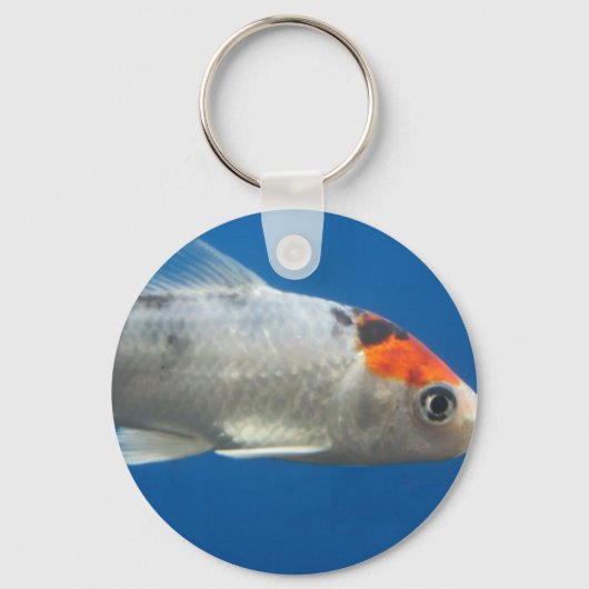 マイペットコイ魚 キーホルダー (正面)