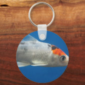 マイペットコイ魚 キーホルダー (正面)