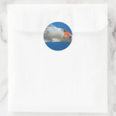 マイペットコイ魚 ラウンドシール (バッグ)