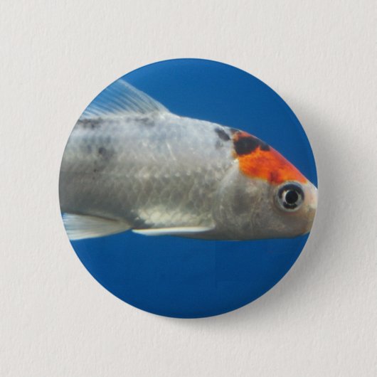 マイペットコイ魚 缶バッジ (正面)