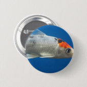 マイペットコイ魚 缶バッジ (正面&裏面)