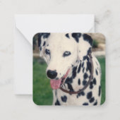 マイペットフレンド オリジナル写真をアップロード カスタム ノートカード (正面)