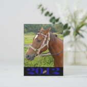 マイホースはがき ポストカード (スタンド正面)