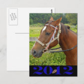 マイホースはがき ポストカード (正面/裏面)