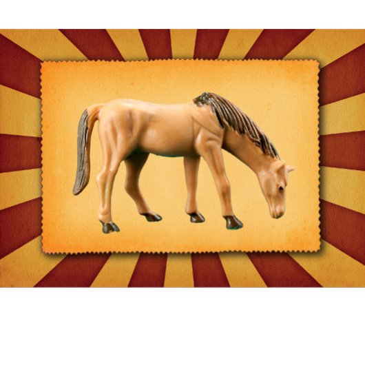 マイホース Tシャツ