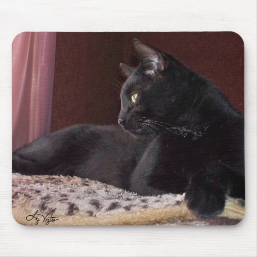 マイボーイチャーリーマウスパッド マウスパッド (正面)