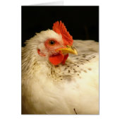 マイボーイ (正面)