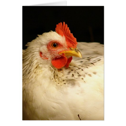 マイボーイ (正面)