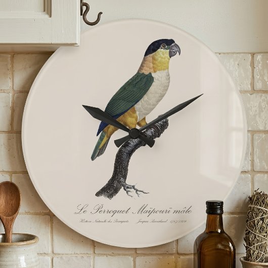 マイポーリのワカケガモ / 黒頭のワカケガモ ラージ壁時計