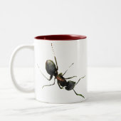 マイマグカップのアリ ツートーンマグカップ (左)