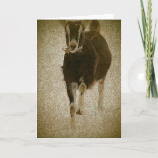 マイミシャ カード (正面)