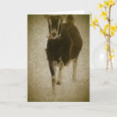 マイミシャ カード (黄色い花)