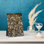 マイヤーズビーチノース、金ゴールドビーチ、オレゴン フォトプラーク (側面)