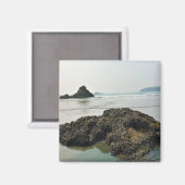 マイヤーズビーチノース、金ゴールドビーチ、オレゴン マグネット (正面/裏面)