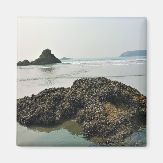 マイヤーズビーチノース、金ゴールドビーチ、オレゴン マグネット (正面)