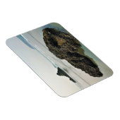 マイヤーズビーチノース、金ゴールドビーチ、オレゴン マグネット (右側)