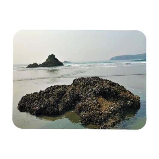 マイヤーズビーチノース、金ゴールドビーチ、オレゴン マグネット (横)