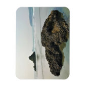 マイヤーズビーチノース、金ゴールドビーチ、オレゴン マグネット (縦)