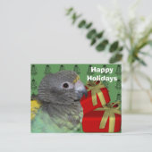 マイヤーズParrotクリスマスホリデーポストカード シーズンポストカード (スタンド正面)