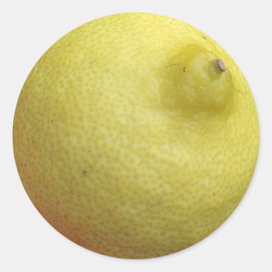 マイヤーレモン ラウンドシール (正面)