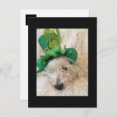 マイラッキーハットウェスティー ポストカード (正面/裏面)