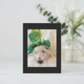 マイラッキーハットウェスティー ポストカード (スタンド正面)