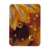 マイラー（Mylar）の反射面に花びらと水滴 マグネット (縦)