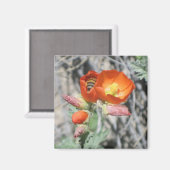 マイリトルハニービー マグネット (正面/裏面)