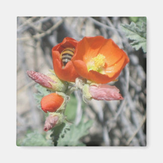 マイリトルハニービー マグネット