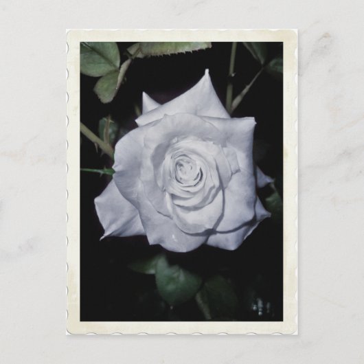 マイリトルブループリンセス ポストカード (正面)