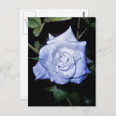 マイリトルプリンセス ポストカード (正面/裏面)