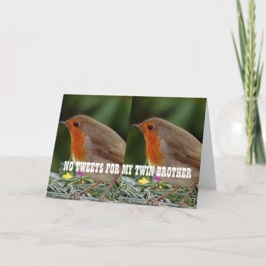 マイルの向こうから*ツインブラザー*誕生日 カード (正面)