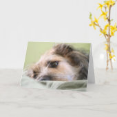 マイルの熟考 カード (黄色い花)