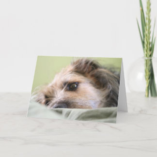 マイルの熟考 カード