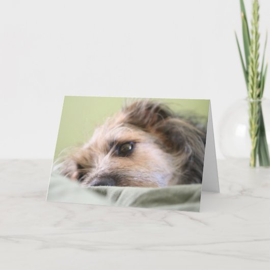 マイルの熟考 カード (正面)