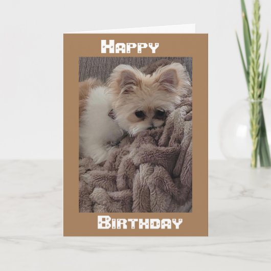 *マイルを越えて*それは人の誕生日にあった願い カード (正面)