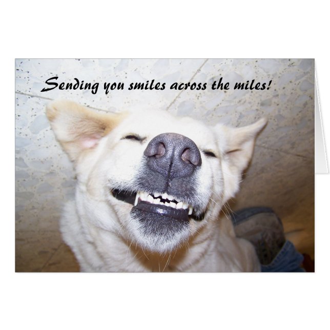 マイルカードを渡るスマイル (正面横)